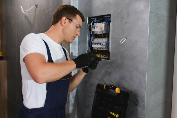 Best Ceiling Fan Installation Electrician  in Dland, MI