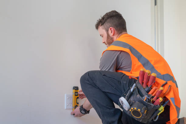 Best Industrial Electrical Services  in Dland, MI