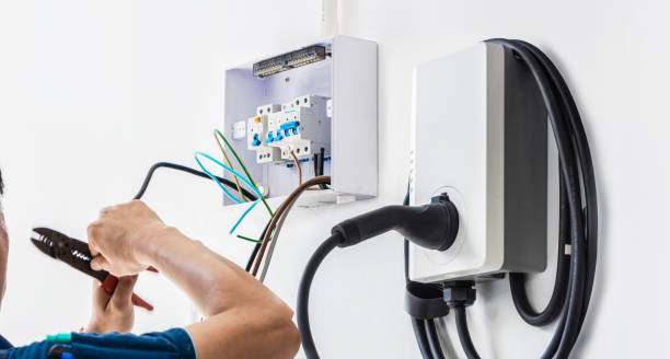 Best Electrician for Home Renovation  in Dland, MI